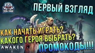 ГАЙД для новичков | ПРОМОКОДЫ | Убийца Рейда? | AWAKEN CHAOS ERA