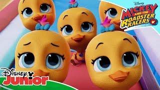 ️ Field Trip | T.O.T.S | Disney Junior Arabia