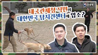 태국관세청 직원이 대한민국 탐지견센터에 입소?