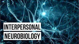 What is Interpersonal Neurobiology