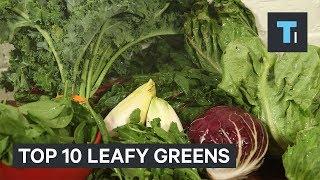 10 Healthiest Leafy Greens You Should Be Putting In Your Salad