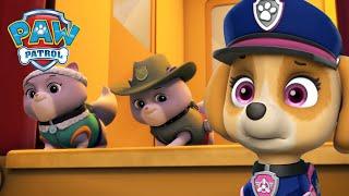 Die Pups der Ultimate Rescue retten die Royal Kitty Cats - PAW Patrol Germany - Cartoons für Kinder