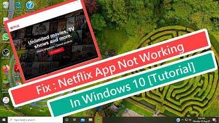 Fix : Netflix App Not Working In Windows 10 [Tutorial]