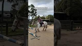 POV: that rider who thinks they know best #equestrian #horsegirls #showjumper #showjumping #horse