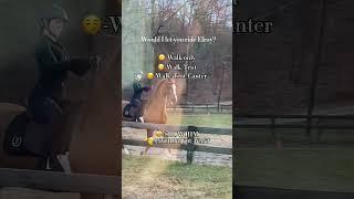 comment to find out :) #horse #saddlebred #saddleseat #equestrian #asb