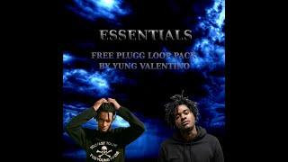 [FREE] Plugg Loop Pack "Essentials" (MexikoDro, Stoopidxool, Old Playboi Carti) | Plugg Loops 2023