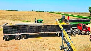 Overwhelmed With Farm Work