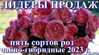 Лидеры продаж 2023 года. Чайно - гибридные.