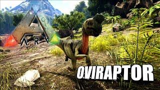 Taming A Oviraptor | Ark Survival Evolved | The Island