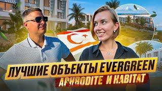 Интервью с застройщиком Evergreen. Застройщики Северного Кипра. Часть 3