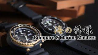 Seiko Marine Master SBBN025 vs SBBN040. Which model do you want?