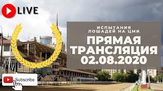 02.08.2020. Прямая трансляция с ЦМИ. Большой Всероссийский приз (Дерби).