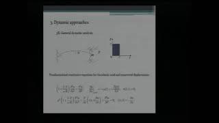 Alexander K. Belyaev - "Coupled axial-transverse vibration (25/05/2015)