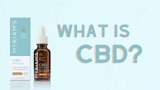 How CBD Works in the Body