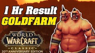 1 HOUR Result! WoW Classic Anniversary Goldfarm