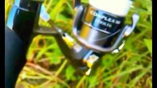 Мой комплект для твичинга (Daiwa Blazon + Shimano Complex BB)