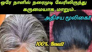 ஒரே நாளில் நரை முடி கருப்பாக மாற இந்த பழம் போதும்..#karumpoola#hair dye#lifehacks #hairfall #டிப்ஸ்