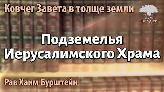 Что можно простить самым близким. Эстер Офенгнгден.