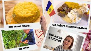 ЕСТЬ ТОЛЬКО РУКАМИ- молдоване поймут / урожай как летом/ Сколько можно отдыхать