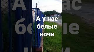 Ханты-Мансийск Июнь Белые ночи #живувдеревне #музыка #шапша #shorts