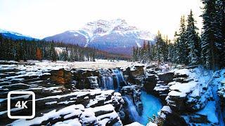 Snowy Mistaya Falls Winter Ambience | Banff National Park Waterfall White Noise | Canadian Rockies