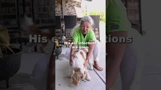 Charlie Pupdate | Food, Eye Sight, & Overall Health