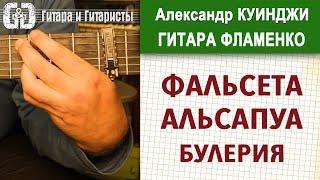 Испанская гитара фламенко. Урок 23. (Не Дидюля) Альсапуа как у Пако