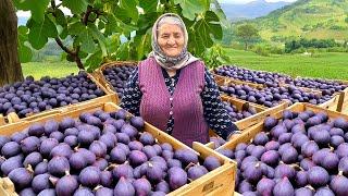 Fresh Fig Harvest for Winter: Making Lots of Jam and Cake in the Village!