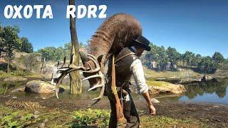 18+ Red Dead Redemption 2 - Охота и разделка