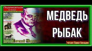 Медведь рыбак   —Евгений Чарушин —читает Павел Беседин