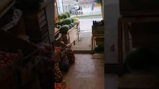 талыш