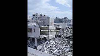 Returning home in Gaza - reflections from Aya