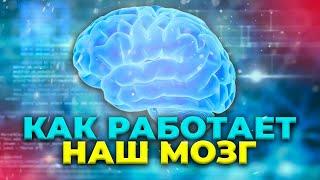 Как наш мозг нас обманывает. Иллюзии восприятия окружающего мира.