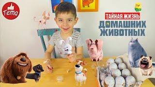 Мультик тайная жизнь домашних животных РАСПАКОВКА СЮРПРИЗОВ С ИГРУШКАМИКоробка шоколадных яиц