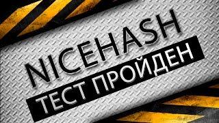 Тест пройден: NiceHash платит!