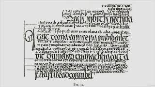 Medieval Irish Law: The Legal Manuscripts of the Brehon Law