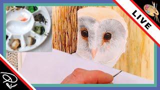 The Devon Artist Live Stream - How to paint the face of a Barn Owl in realistic watercolour