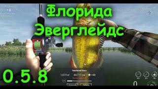 Fishing Planet  # Ловись рыбка большая и ещё больше. Басс на спиннинг. Флорида. Эверглейдс.