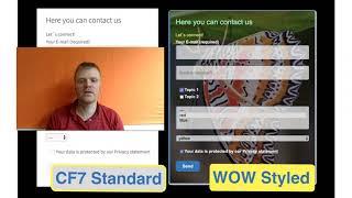 Style Contact Form 7 forms: Style more and faster when you f