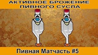 Активное брожение пива, пивная матчасть#5