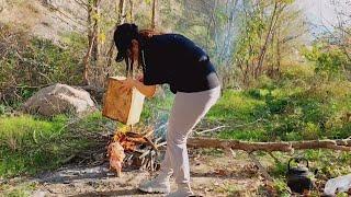 Village Life Iran||Harvesting Walnuts and Cooking Roast Chicken in the Nature