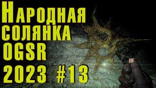  S.T.A.L.K.E.R. NS OGSR  #13 Лабиринт. Шкатулка. Сейф. Склады. Подготовка к Радару. Радар. Х10.