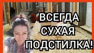 Всегда Сухая Подстилка в Курятнике-Залог Хорошей Яйценоскости у Кур Несушек! Запаха в Курятнике-НЕТ!