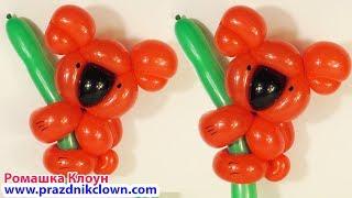 КОАЛА ИЗ ШАРОВ мишка из шариков КАК СДЕЛАТЬ Balloon Animal Koala DIY