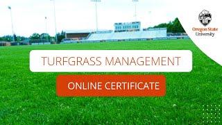 Get Ahead in Turfgrass Management with OSU's Online Certificate