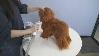 The Best Pet Hair Solution - Neabot P1 Pro Pet Grooming Kit