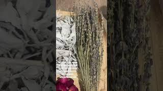 rockywritershop.com ‍️