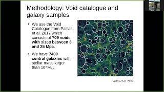 Yetli Rosas Guevara - The properties of void galaxies and their black holes in the EAGLE simulations