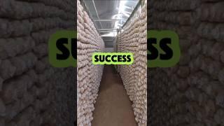 Unlock Your Mushroom Farming Success | Expert Consultation Services by Ceylon Mushrooms Growers.