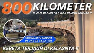 NAIK KERETA KELAS BISNIS TERJAUH DI INDONESIA!! KA Ranggajati Jember - Cirebon